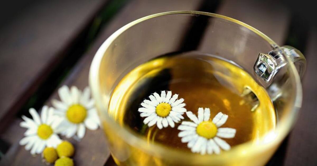 Here are 7 health benefits of having chamomile tea