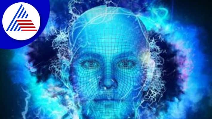 Best Superfoods To Boost The Power Of Subconscious Mind Vin Best Superfoods To Boost The Power Of Subconscious Mind Vin