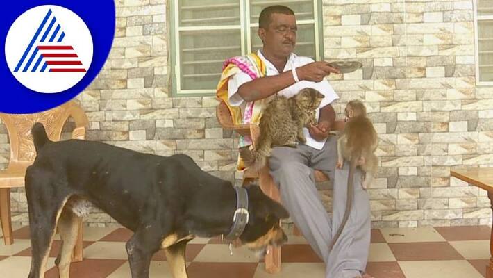 friendship story of monkey cat and dog is more beautiful at kolar gvd friendship story of monkey cat and dog is more beautiful at kolar gvd