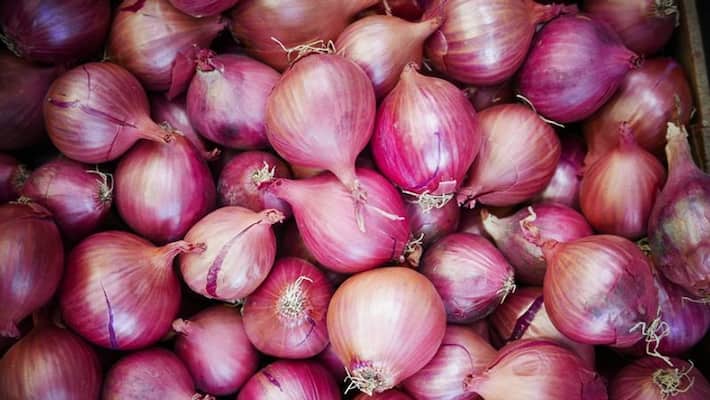 Onion Price Decline in Bengaluru grg Onion Price Decline in Bengaluru grg