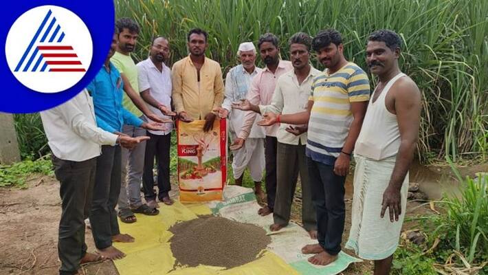 Belagavi Farmers soil found in fertilizer bag gow Belagavi Farmers soil found in fertilizer bag gow
