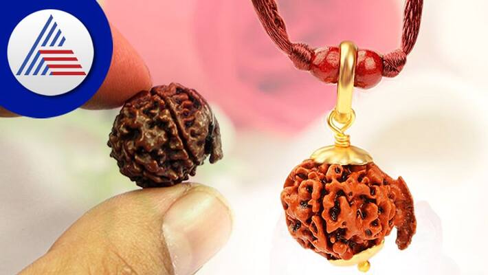 What is the benefit of Ganesh rudraksha skr What is the benefit of Ganesh rudraksha skr