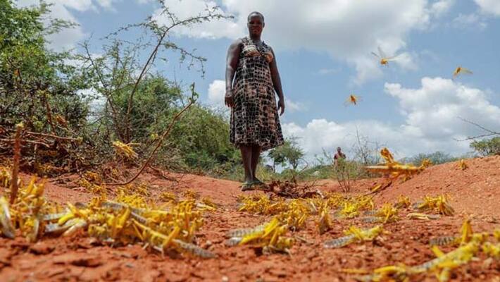 Baba Vanga Predictions, Food security, famine threat in East Africa kpa Baba Vanga Predictions, Food security, famine threat in East Africa kpa