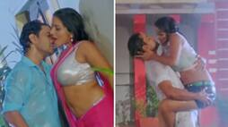 SEXY Bhojpuri song Video: Monalisa and Nirahua's show off their HOT dance moves RBA