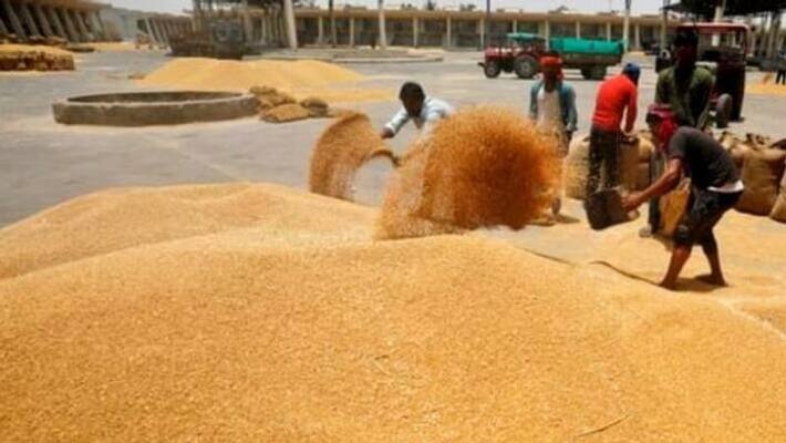 Soon the world's largest grain storage plan will be implemented for food security: Report Soon the world's largest grain storage plan will be implemented for food security: Report
