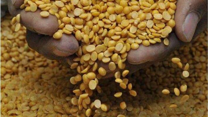 Farmers Faces Problems Due to Toor Dal Crop Loss in Kalaburagi grg Farmers Faces Problems Due to Toor Dal Crop Loss in Kalaburagi grg