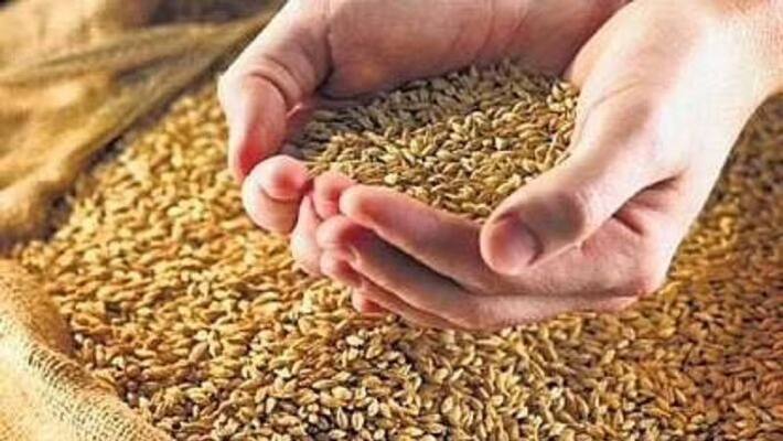 No plan to import wheat into India have sufficient stock central govt confirm No plan to import wheat into India have sufficient stock central govt confirm