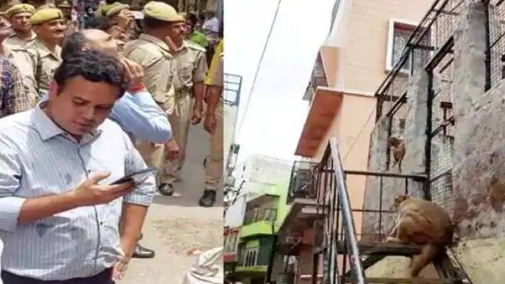 Monkey runs with Mathura District Magistrate sun glass akb Monkey runs with Mathura District Magistrate sun glass akb