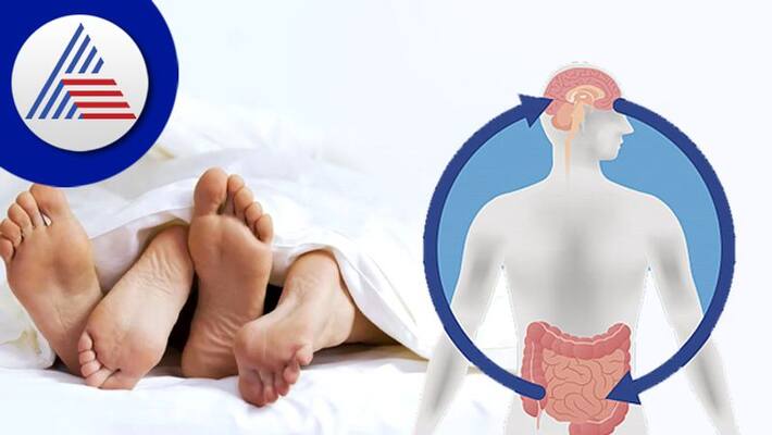 Did You Know That your Gut Can Affect Your Sex Life? Here Are 5 Ways Vin Did You Know That your Gut Can Affect Your Sex Life? Here Are 5 Ways Vin