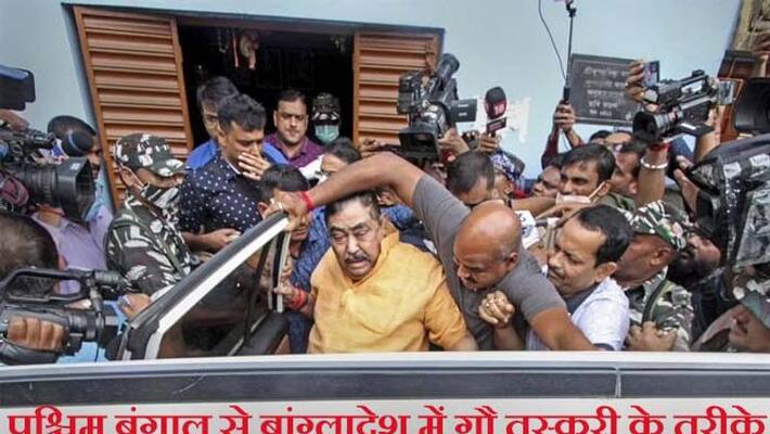Cow smuggling in West Bengal, Bangladesh border, Muslim beef eater, TMC leader Anubrata Mandal and shocking revelations kpa Cow smuggling in West Bengal, Bangladesh border, Muslim beef eater, TMC leader Anubrata Mandal and shocking revelations kpa