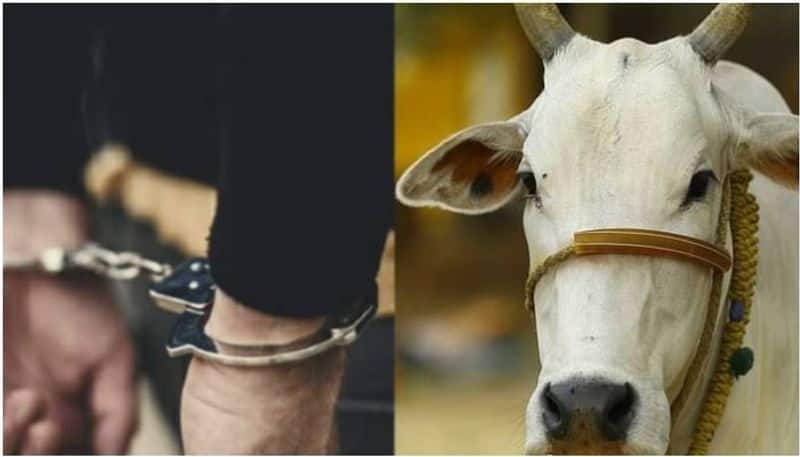 Police have arrested a retired civil servant for having sex with a cow in Andhra state. 