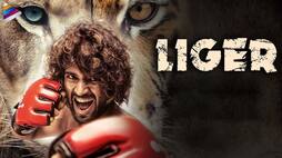 Liger box office overseas collection report Vijay  Deverakonda Ananya Panday Ramya Krishnan drb