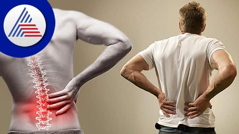 back pain is also major symptom for these 3 cancer diseases