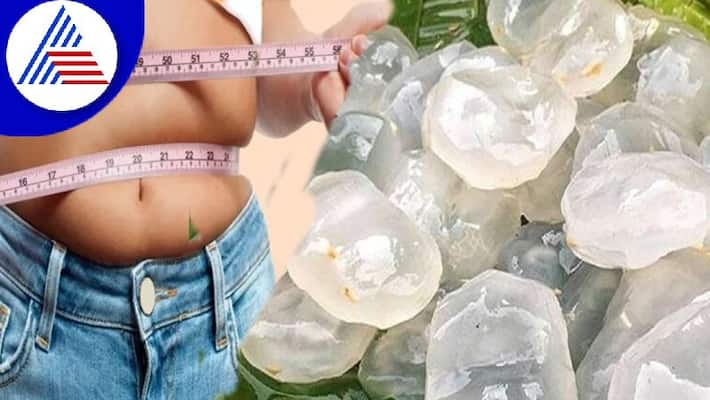 Eat Ice Apple, A Superfood For Weight Loss Vin Eat Ice Apple, A Superfood For Weight Loss Vin