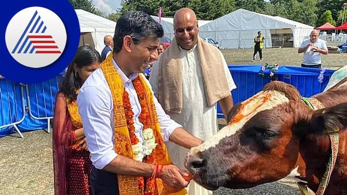Rishi Sunak performs gau puja in london wins non resident indians heart Rishi Sunak performs gau puja in london wins non resident indians heart