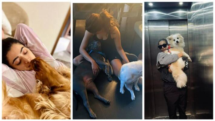 samantha priyanka chopra rashmika mandanna celebrities who are known to be dog lovers in international dog day samantha priyanka chopra rashmika mandanna celebrities who are known to be dog lovers in international dog day