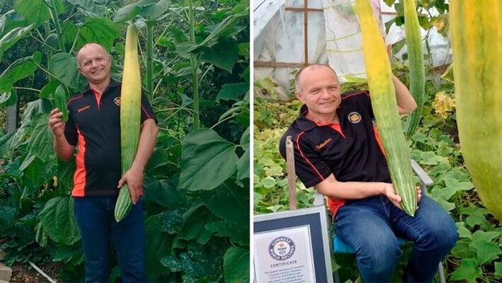 UK man breaks Guinness World Record Grows the longest cucumber apa UK man breaks Guinness World Record Grows the longest cucumber apa