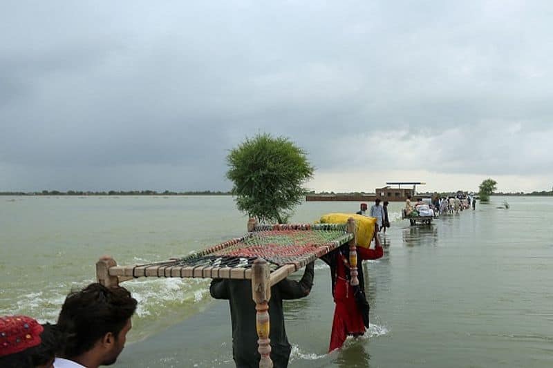 Over 6.5 lakh pregnant women in flood-ravaged Pakistan require immediate medical attention, according to UNFPA.