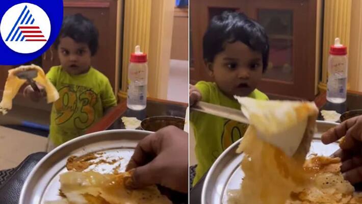 Toddler Serves Dosa To Dad, Flips It Like Pro. Viral Video Vin Toddler Serves Dosa To Dad, Flips It Like Pro. Viral Video Vin