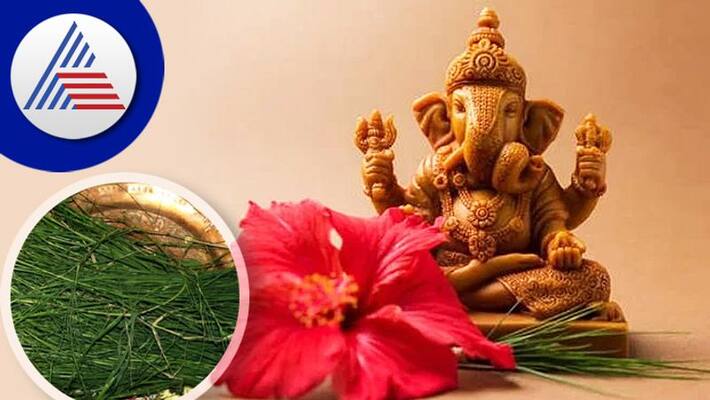Why is Durva offered to Lord Ganesha Find out its significance skr Why is Durva offered to Lord Ganesha Find out its significance skr