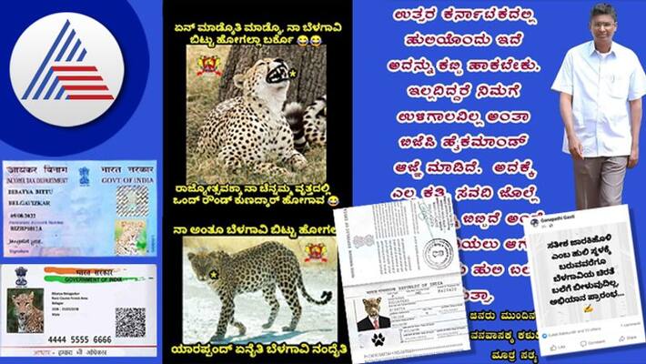 belagavi leopard photos viral comedy photos in social media gvd belagavi leopard photos viral comedy photos in social media gvd