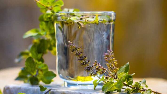 health tips Chew two tulsi or Basil leaves daily - you will get these six benefits bsm health tips Chew two tulsi or Basil leaves daily - you will get these six benefits bsm