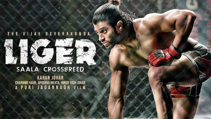 vijay devarakonda liger hindi collections going study vijay devarakonda liger hindi collections going study