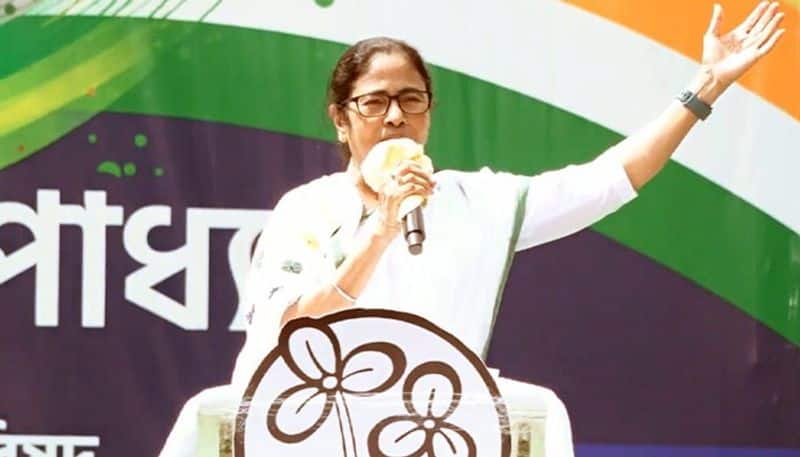 I dare the BJP to arrest me; allegations of asset increase are baseless,' Mamata says.