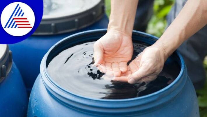 Is Drinking Rainwater Safe For Health Vin Is Drinking Rainwater Safe For Health Vin