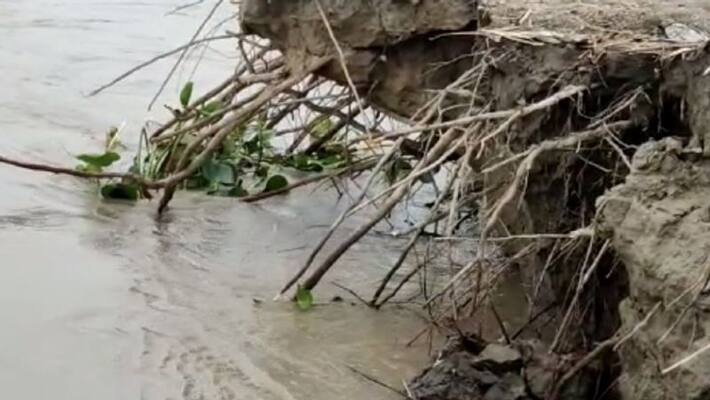Horrific picture of river erosion in Malda, a 10 month-old child drowned bsm Horrific picture of river erosion in Malda, a 10 month-old child drowned bsm