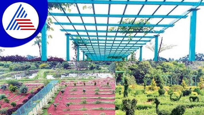 Lingambudhi Botanical garden inaguration in Dussehra mysuru Lingambudhi Botanical garden inaguration in Dussehra mysuru