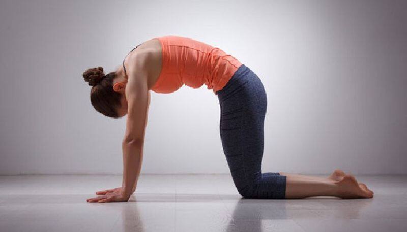 five yoga poses which helps to reduce back pain during pregnancy 