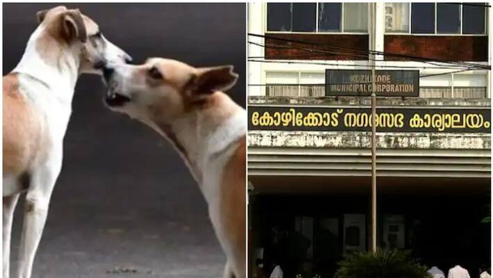 Sterilization of dogs: Govt fails to issue action plan Sterilization of dogs: Govt fails to issue action plan