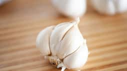 health benefits eating garlic daily rse