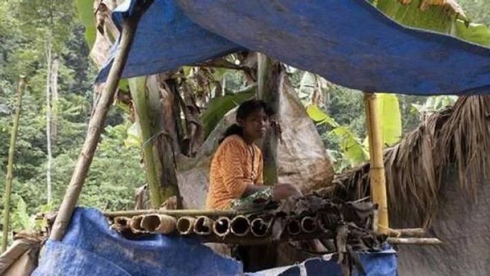 Mystery about inbreeding tradition in Polahi tribe of Indonesia kpa Mystery about inbreeding tradition in Polahi tribe of Indonesia kpa