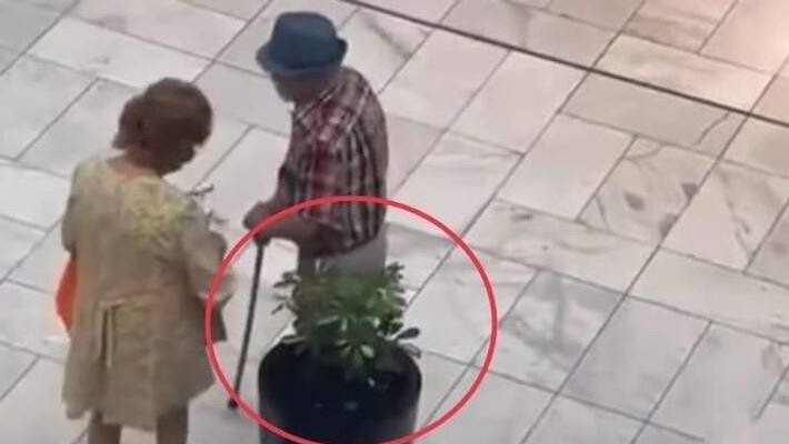 elderly couple stole a plant from a mall in a viral video apa elderly couple stole a plant from a mall in a viral video apa