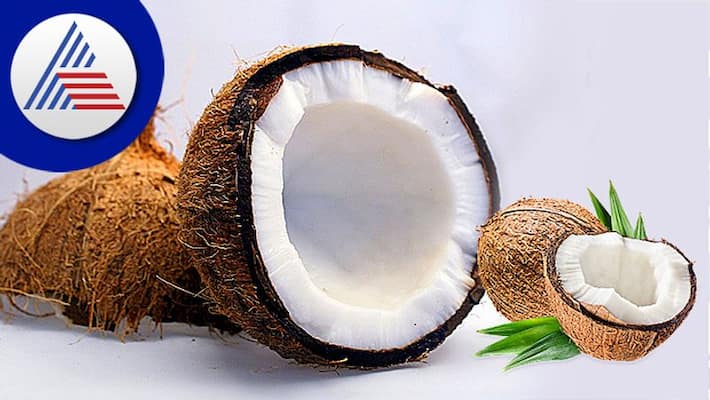 Coconut Price Down in Tipatur Market snr Coconut Price Down in Tipatur Market snr