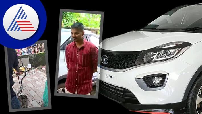 King Kobra stays in engine bey of Tata Nexon for a week King Kobra stays in engine bey of Tata Nexon for a week