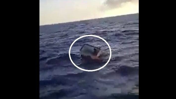 Fisherman pulled from Atlantic after over a week in a FREEZER with no food or water apa Fisherman pulled from Atlantic after over a week in a FREEZER with no food or water apa