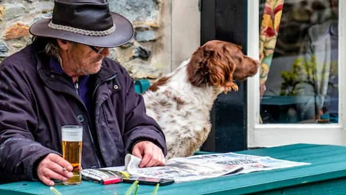 Australian pub fined 4.3 Lakh for denying entry to Human Assistance Dog akb Australian pub fined 4.3 Lakh for denying entry to Human Assistance Dog akb