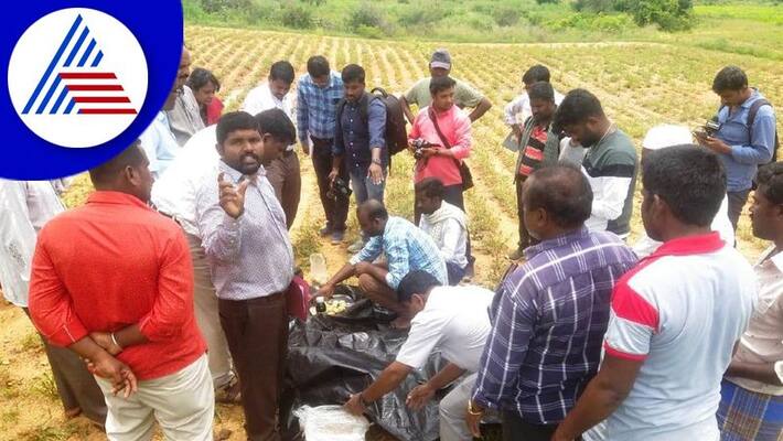 crop damaged by insects in chikkaballapur district gvd crop damaged by insects in chikkaballapur district gvd