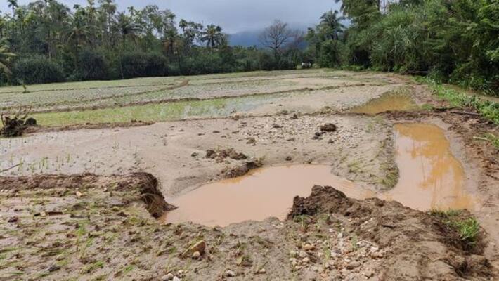 heavy rain in chikkamgaluru district and huge damage gvd heavy rain in chikkamgaluru district and huge damage gvd