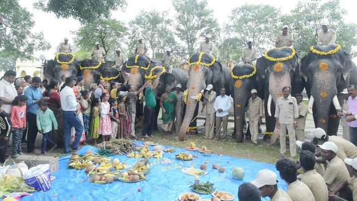 Mysuru Prepare For Grand Dasara Jambusavari Mysuru Prepare For Grand Dasara Jambusavari