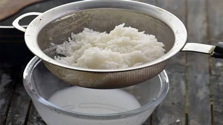 Health tips: here are 5 benefits of rice starch dva Health tips: here are 5 benefits of rice starch dva