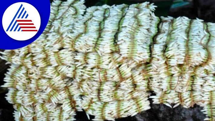 Udupi jasmine sales at record prices gvd Udupi jasmine sales at record prices gvd