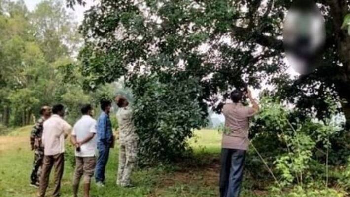 dumka crime news 15 year old girl dead body found hanging by tree kpr dumka crime news 15 year old girl dead body found hanging by tree kpr