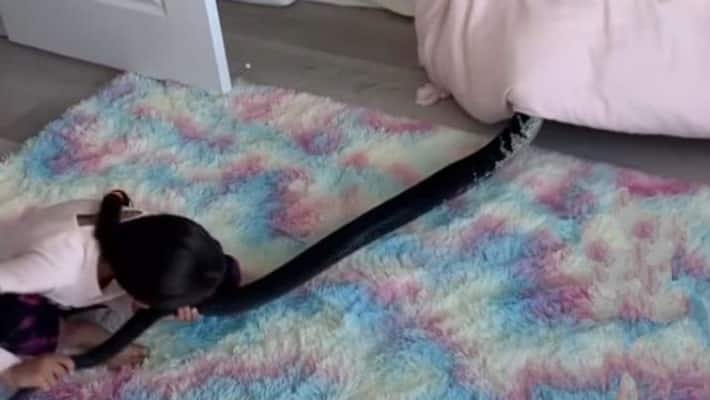 video clip of girl playing with a python has gone viral apa video clip of girl playing with a python has gone viral apa