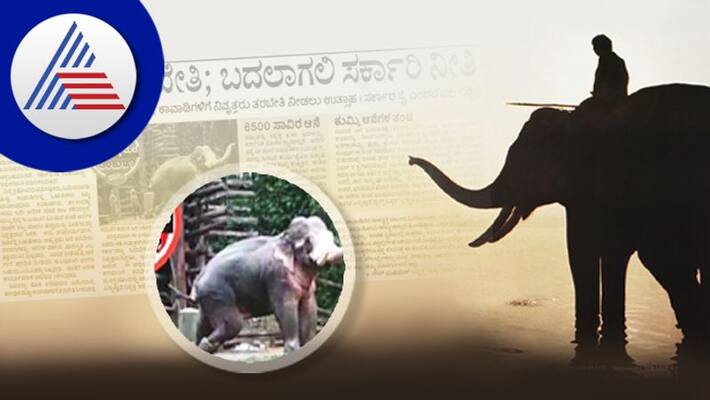Elephant Training issue Retirees are ready to solve the shortage of trainers shivamogga rav Elephant Training issue Retirees are ready to solve the shortage of trainers shivamogga rav