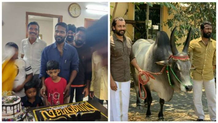 vetrimaaran birthday celebration with vaadivasal cake vetrimaaran birthday celebration with vaadivasal cake