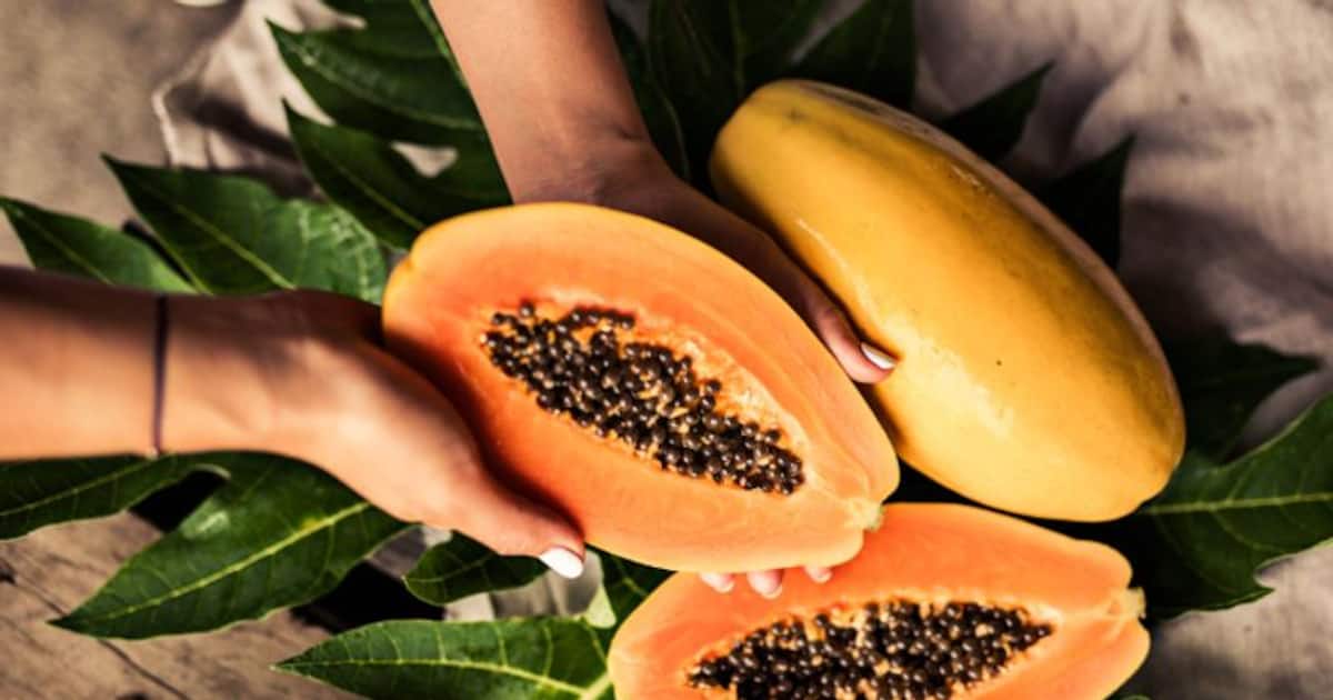 தூக்கி எறியும் பப்பாளி விதைகளுக்குள் இவ்வளவு நன்மைகளா? இனி மிஸ் பண்ணாதீங்கோ! 